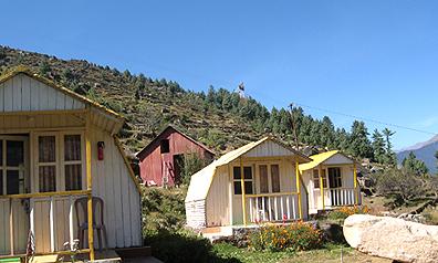 Auli Resort
